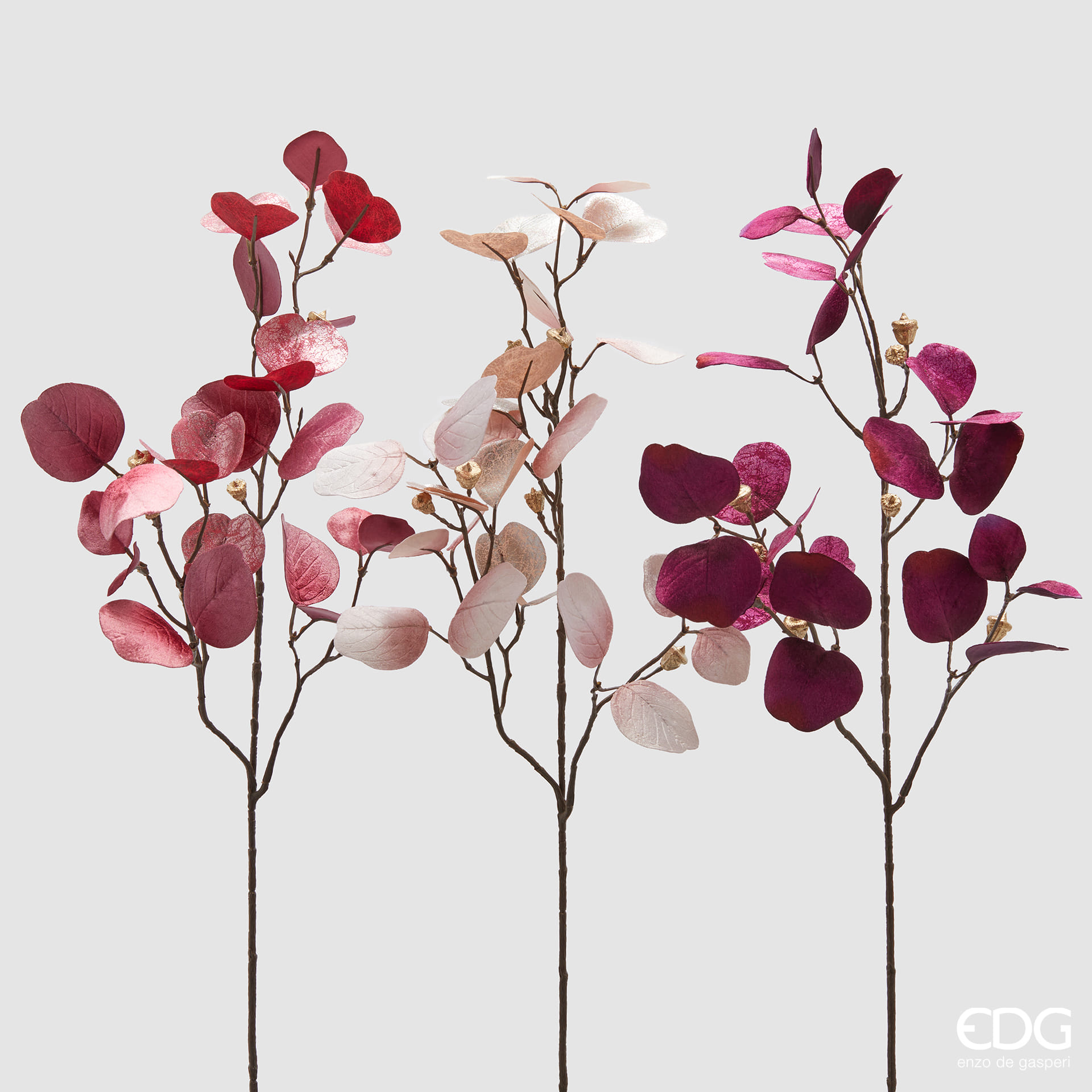 Эвкалипт EDG Enzo De Gasperi Арт.2300380A599