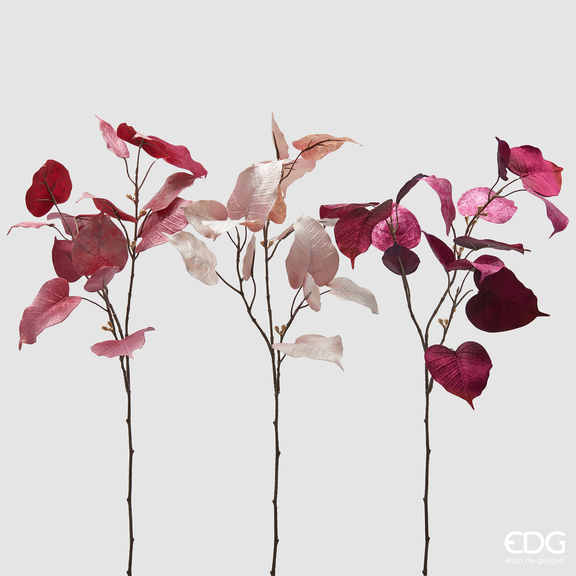 Фикус EDG Enzo De Gasperi Арт.2300383A599