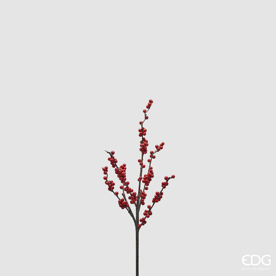 Падуб EDG Enzo De Gasperi Арт.2500034A400