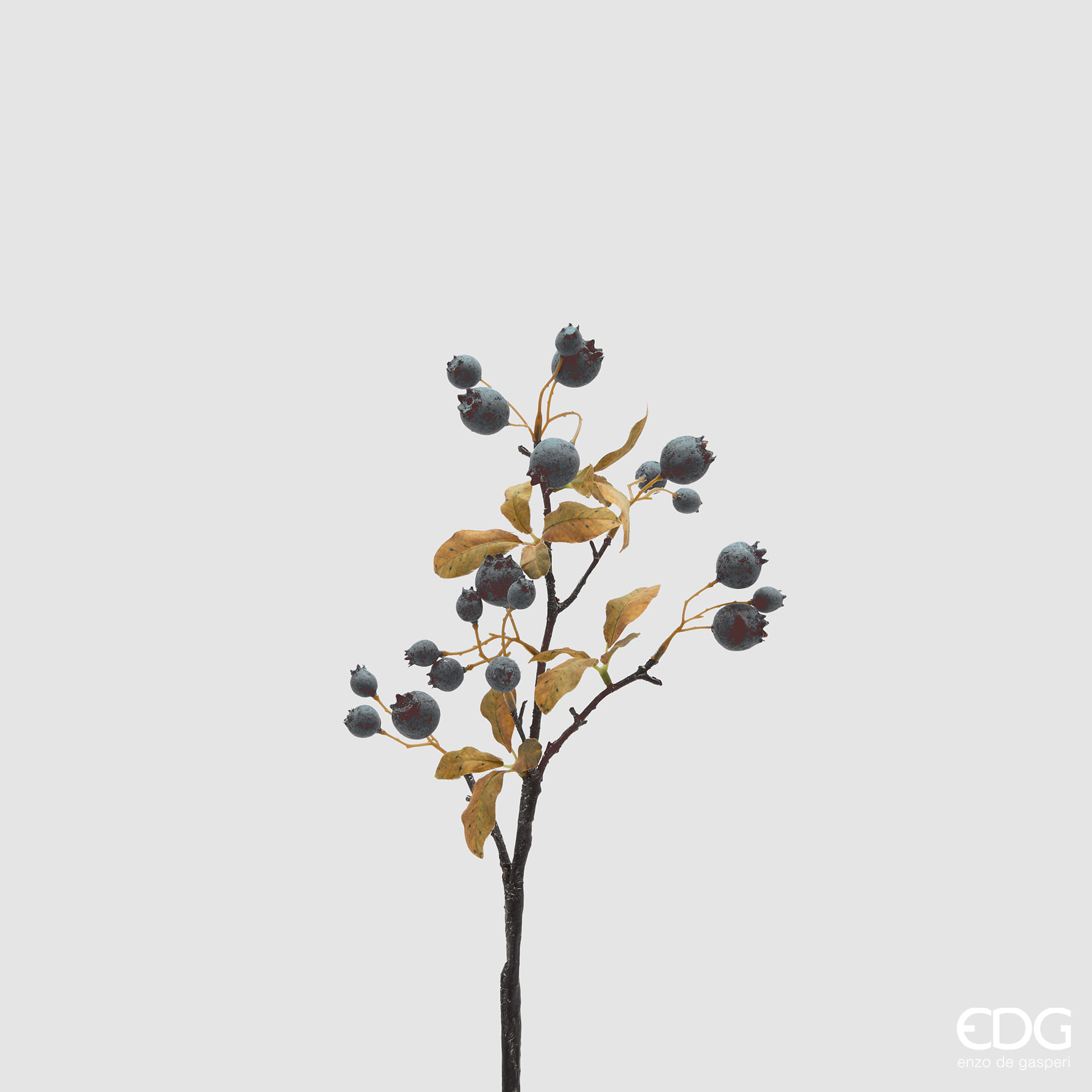 Черника EDG Enzo De Gasperi Арт.2500092A699