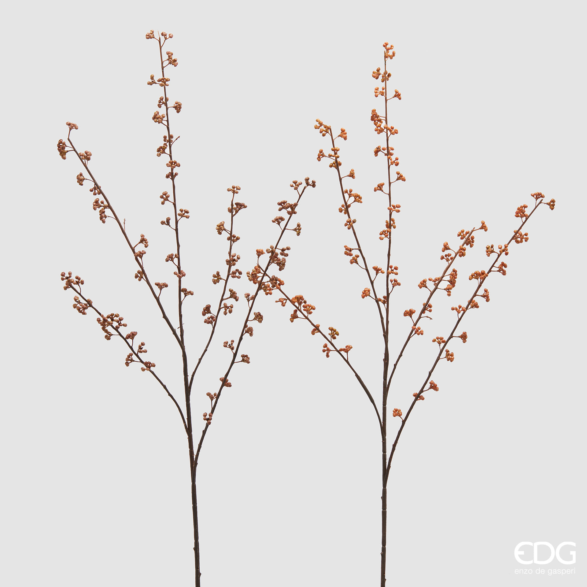 Ягоды EDG Enzo De Gasperi Арт.2500118A979