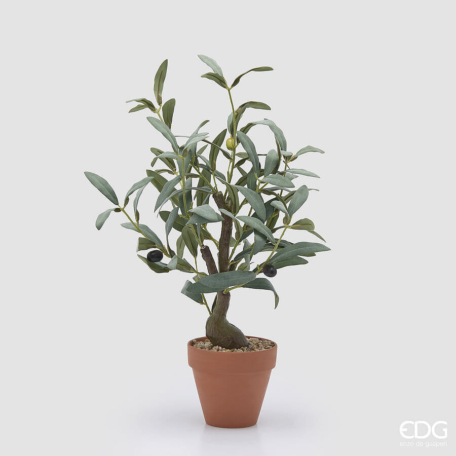 Оливковое дерево EDG Enzo De Gasperi Арт.2300426A700