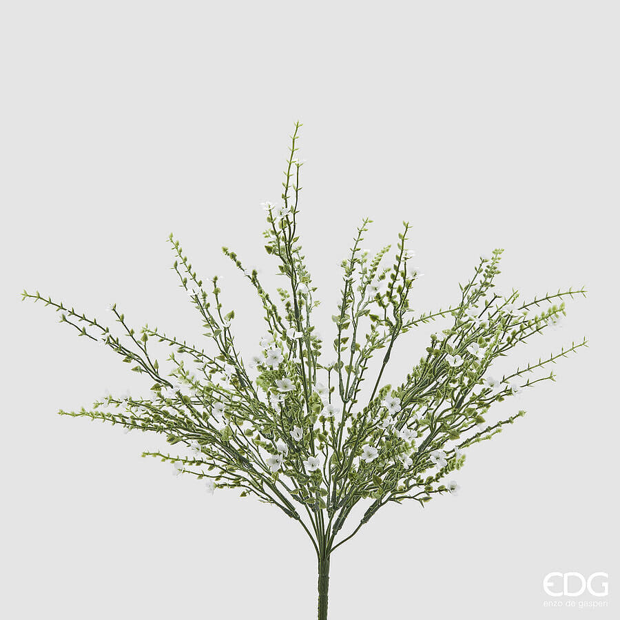 Дрок EDG Enzo De Gasperi Арт.2100345A100