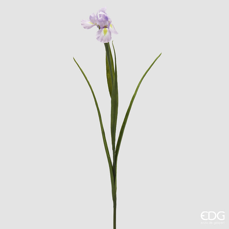 Ирис EDG Enzo De Gasperi Арт.2100456A661