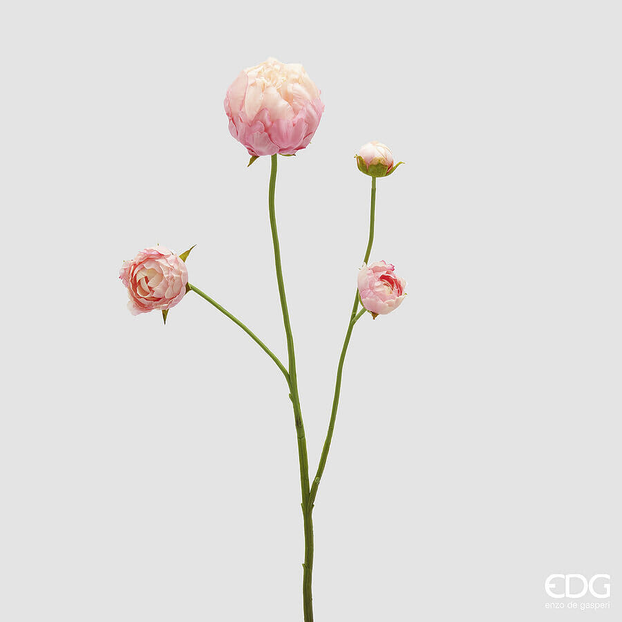 Пион EDG Enzo De Gasperi Арт.2100567A553