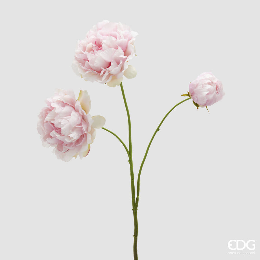 Пион EDG Enzo De Gasperi Арт.2100569A500