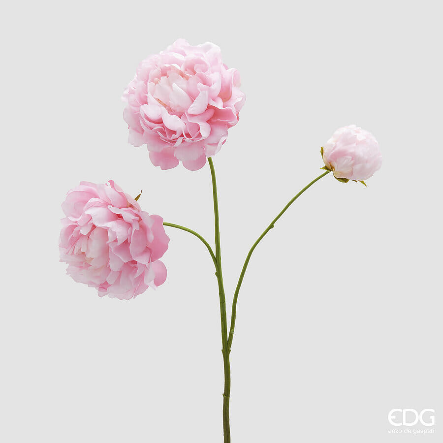 Пион EDG Enzo De Gasperi Арт.2100569A553