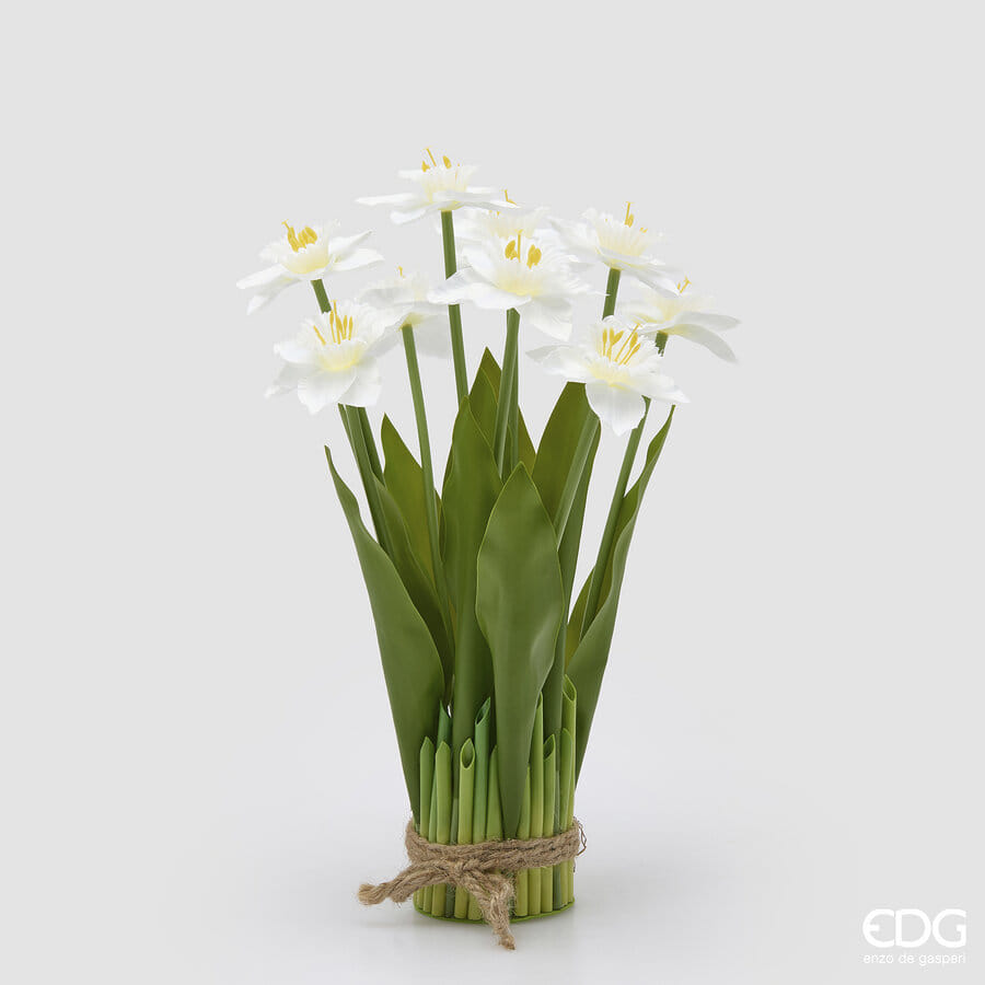 Нарцисс EDG Enzo De Gasperi Арт.2100597A100