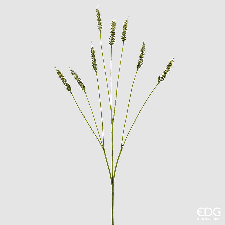 Пшеница EDG Enzo De Gasperi Арт.2300339A700