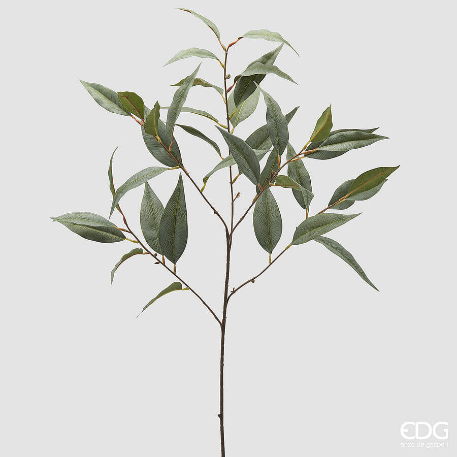 Эвкалипт EDG Enzo De Gasperi Арт.2300512A700