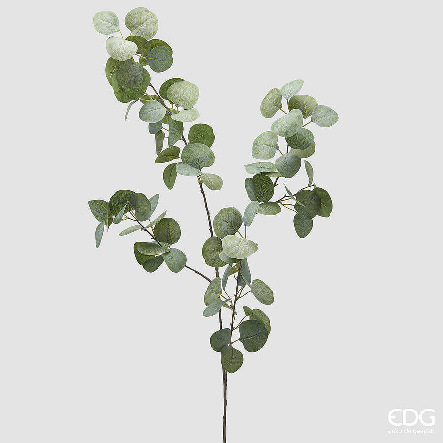 Эвкалипт EDG Enzo De Gasperi Арт.2300517A700