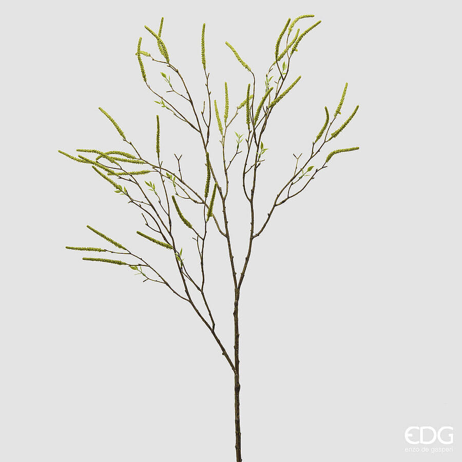 Ива EDG Enzo De Gasperi Арт.2300538A700