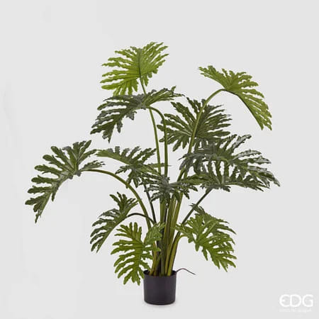 Филодендрон EDG Enzo De Gasperi Арт.2300012A700