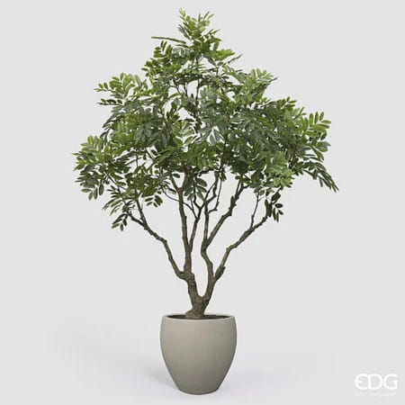 Дальбергия EDG Enzo De Gasperi Арт.2300444A700