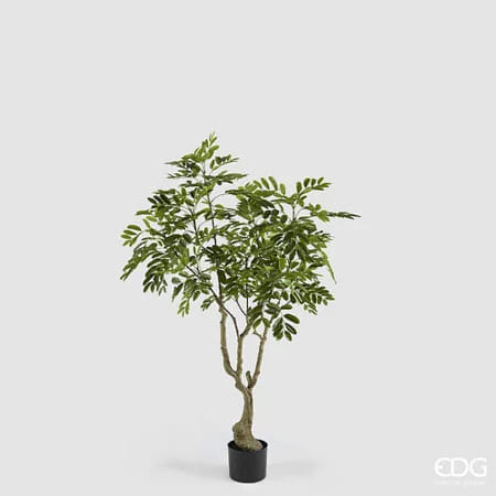 Дальбергия EDG Enzo De Gasperi Арт.2300434A700