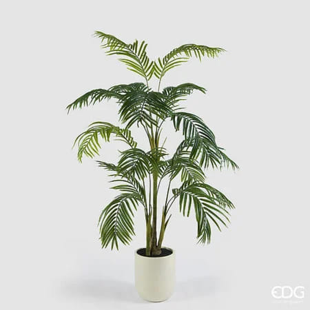 Пальма Арека EDG Enzo De Gasperi Арт.2300443A700