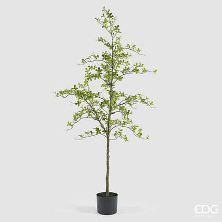 Буцида EDG Enzo De Gasperi Арт.2300498A700