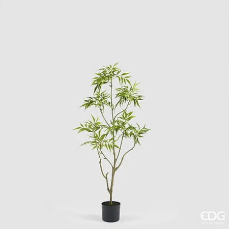 Барбарис EDG Enzo De Gasperi Арт.2300499A700