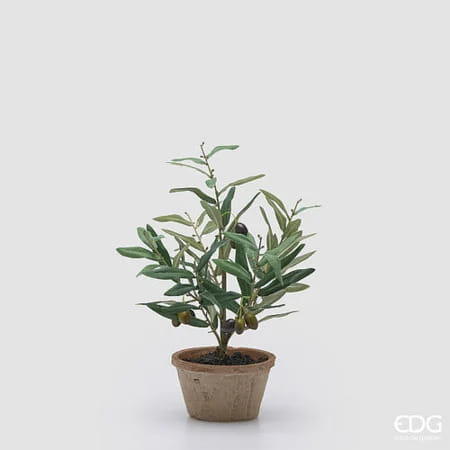 Оливковое дерево EDG Enzo De Gasperi Арт.2300503A700