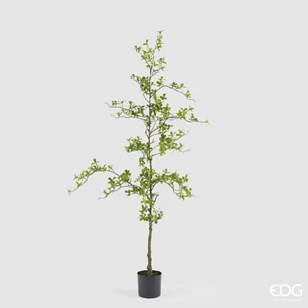 Буцида EDG Enzo De Gasperi Арт.2300497A700