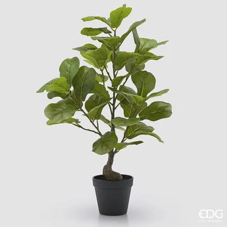 Фикус Лирата EDG Enzo De Gasperi Арт.2300511A700