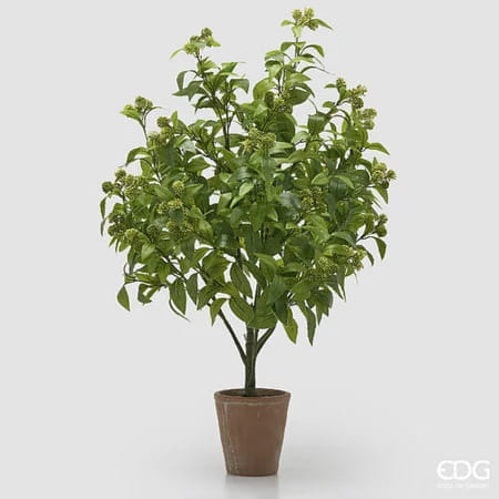 Вибурнум EDG Enzo De Gasperi Арт.2300527A771