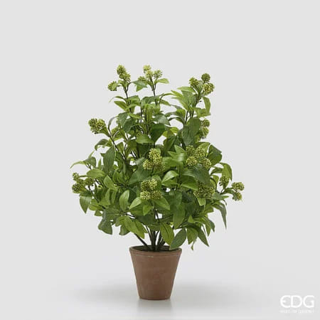 Вибурнум EDG Enzo De Gasperi Арт.2300526A771