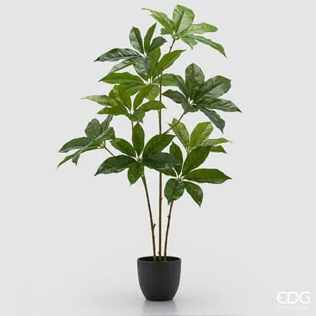 Аралия EDG Enzo De Gasperi Арт.2300543A700