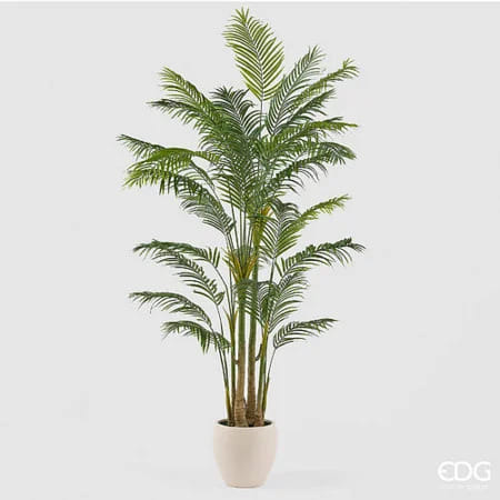 Пальма Арека EDG Enzo De Gasperi Арт.2300544A700