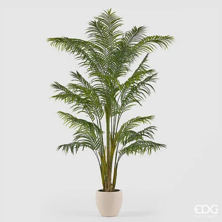Пальма Арека EDG Enzo De Gasperi Арт.2300545A700