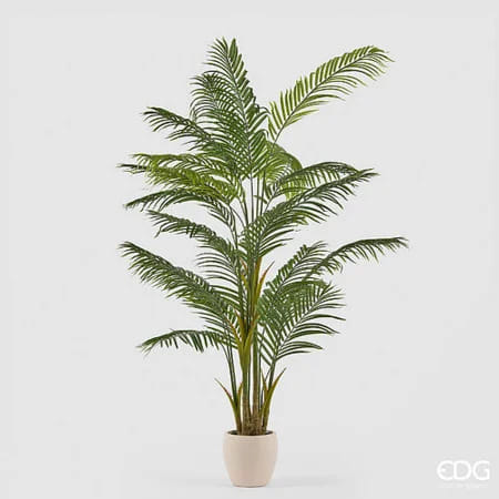 Пальма Арека EDG Enzo De Gasperi Арт.2300546A700