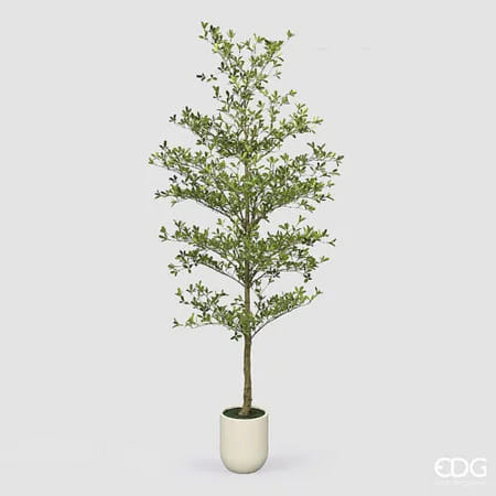 Буцида EDG Enzo De Gasperi Арт.2300552A700