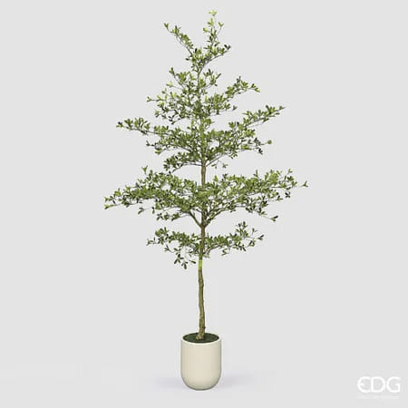 Буцида EDG Enzo De Gasperi Арт.2300551A700