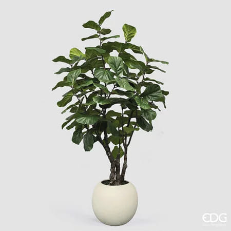 Фикус Лирата EDG Enzo De Gasperi Арт.2300555A700