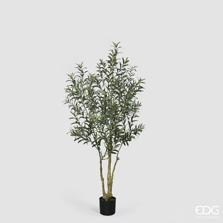 Оливковое дерево EDG Enzo De Gasperi Арт.2300556A700