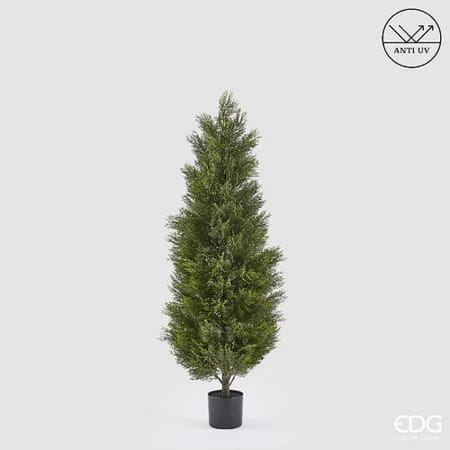 Кипарис EDG Enzo De Gasperi Арт.2300568A700