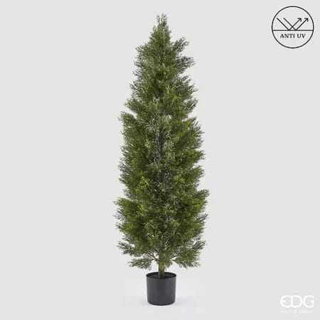 Кипарис EDG Enzo De Gasperi Арт.2300567A700