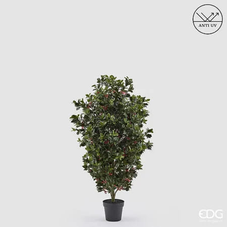 Падуб остролистный EDG Enzo De Gasperi Арт.2300561A700