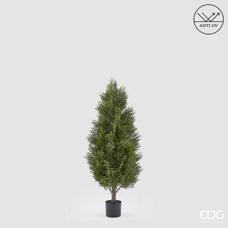 Кипарис EDG Enzo De Gasperi Арт.2300569A700