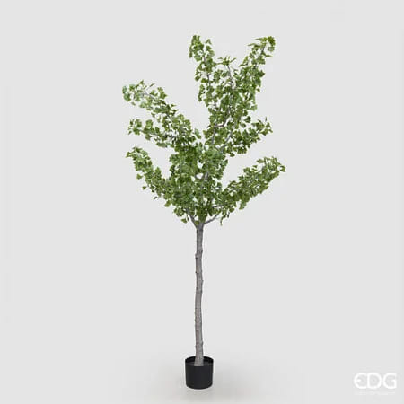 Гинкго EDG Enzo De Gasperi Арт.2300571A700