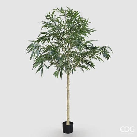 Ива EDG Enzo De Gasperi Арт.2300578A700