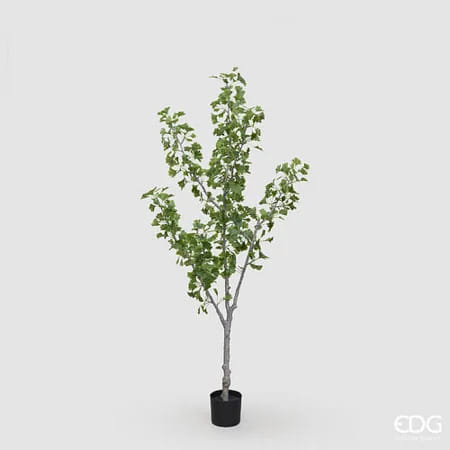 Гинкго EDG Enzo De Gasperi Арт.2300572A700