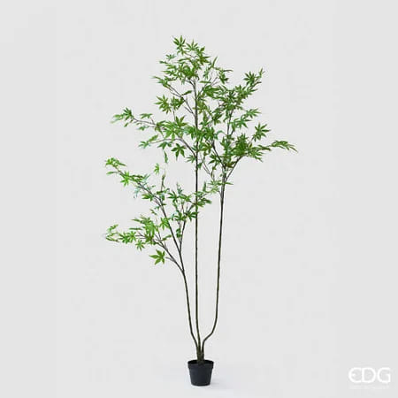 Клен EDG Enzo De Gasperi Арт.2300610A700