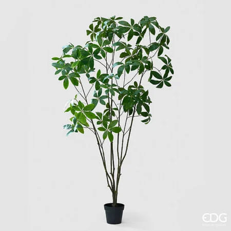 Шеффлера EDG Enzo De Gasperi Арт.2300613A700