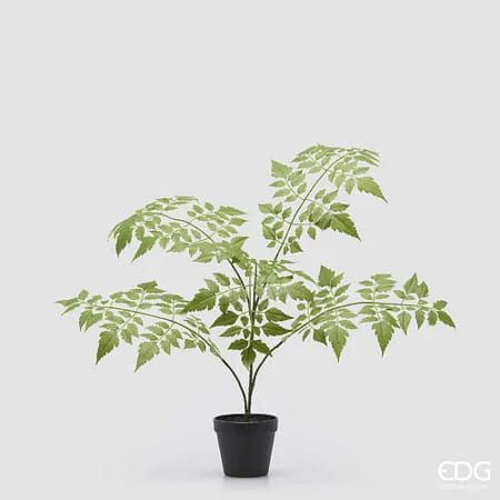 Кельрейтерия EDG Enzo De Gasperi Арт.2300598A700