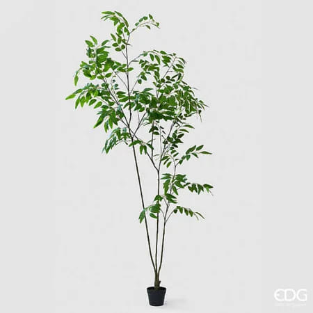Дальбергия EDG Enzo De Gasperi Арт.2300612A700