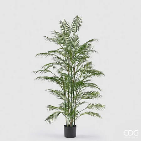 Пальма Арека EDG Enzo De Gasperi Арт.2300682A700