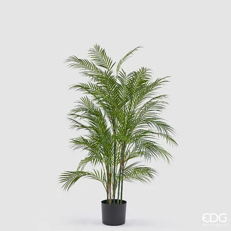 Пальма Арека EDG Enzo De Gasperi Арт.2300684A700