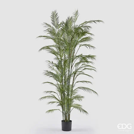 Пальма Арека EDG Enzo De Gasperi Арт.2300681A700