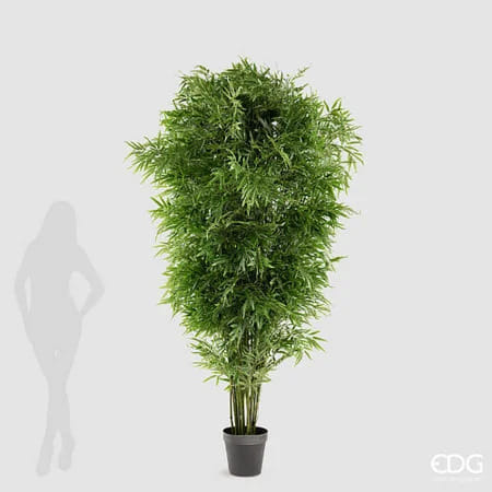 Бамбук EDG Enzo De Gasperi Арт.2300587A700
